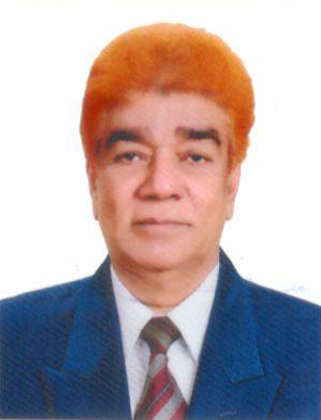 Mr. Mohammad Lokman